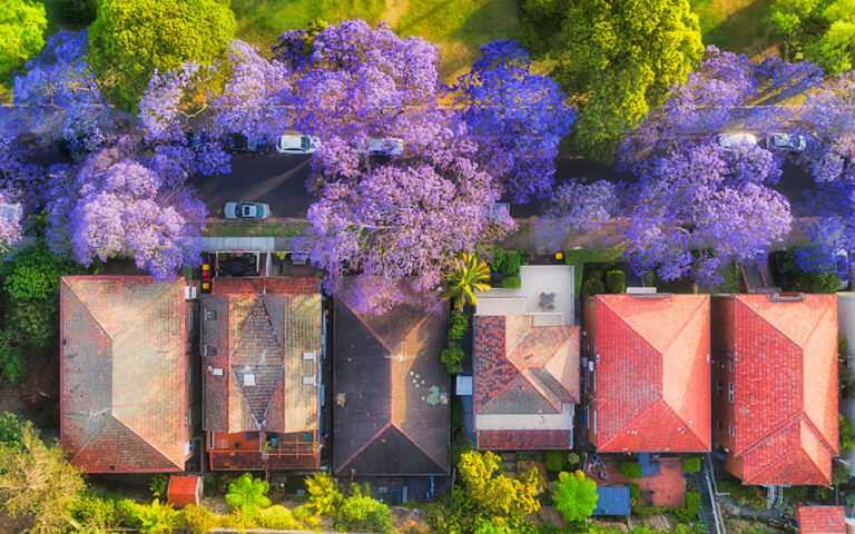 The shifting landscape for spring buyers